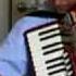 Valzer Di Mezzanotte Midnight Waltz Valse De Minuit Accordion Accordeon Acordeon Akkordeon