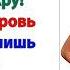 Значит так свекровушка Жрите что дают Мы вам не бесплатный ресторан и не Собес