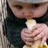 Cute Baby Eating Banana Shorts Baby Video Ytshorts Babyvideos Comedybaby Videos