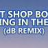 Pet Shop Boys Dancing In The Dusk DB Remix