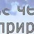 Влияние человека на природу Современный мир и экология