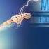 Yngwie Malmsteen Forever Man Blue Lightning