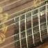 Introduction To Playing The Harp Lute Taro Takeuchi