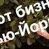 АННА НАУМЕНКО о лесбийских связях Коко Шанель любви к Софи Кинселла и ежедневном чтении