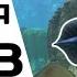 What Your FAVORITE BIOME In SUBNAUTICA Says About YOU