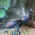 Zoo In Mahabaleshwar Tourist Place Mahabaleshwar Visit