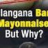 Telangana Bans Mayonnaise But Why UPSC Current Affairs 2024