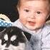 Husky Siberian And Babies Playing Videos Compilation 2016 Cute Dogs Love Babies