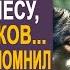 Миллионер очнулся в лесу среди хищных волков Но когда он вспомнил про жену тёщу и наследство