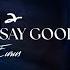 Enya I Could Never Say Goodbye Lyric Video