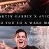 Avicii X MartinGarrix Wake Me Up X Told You So Israel Carter Mashup