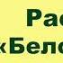 А П Чехов Рассказ Белолобый Краткое содержание