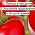 10 причин есть помидоры каждый день