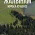 Мирбек Атабеков Жалынам Караоке