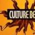 Culture Beat Inside Out Extended Mix