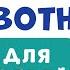 Домашние животные ДЛЯ ДЕТЕЙ Учим названия домашних животных Развивающее видео для детей