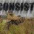 Inconsistency An AIRSOFT Edit