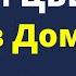 НАВСЕГДА УБЕРИТЕ эти ЦВЕТЫ из Дома они приносят беды и несчастья