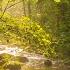 WANDERUNG DURCH DIE SCHÖNSTE WILDBACHKLAMM IM BAYERISCHEN WALD Wandern In Der Buchberger Leite