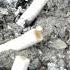 Shocking Truth About Cigarette Butts The 1 Litter You Didn T Know Is Killing Our Planet Shorts