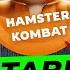 HAMSTER KOMBAT To G Ri Pul Yechish SHOSHILING Binance Tonkeper Ulash Qaysi Birjani Ulash Kerak