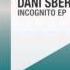 Dani Sbert Incognito Night Light Records