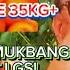 PANEN PERDANA BUAH APRICOT JUMBO BARU 1 POHON PANEN 30KG BOJO BULE LGS MUKBANG BIKIN NGILER