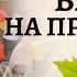 Вход на праздник с салютами Осенний утренник в детском саду В осень постучись А Чугайкина