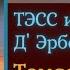 ТЭСС ИЗ РОДА Д ЭБЕРВИЛЛЕЙ Томас Харди Часть 1 Роман Зарубежная Классика Аудиокниги Слушать Онлайн