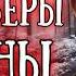 Квадроберы захватили Россию Госдума против детей животных