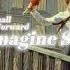 Small Forward Imagine So Official Music Video