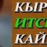 Озбек ЖИГИТИ Кыргыздарды соккону учун ыйлап кечирим сурады