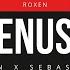 Roxen Cenusa ArtyViolin X Sebastiann Remix