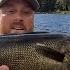 Crooked Lake BWCA Walleye Fishing Mudro