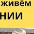 Из Украины в Германию и теперь живём на ХУТОРЕ