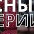 КАК СМЫТЬ ВСЕ ИНФЕКЦИИ спрей в домашних условиях за 1 минуту