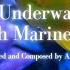 Relaxing Underwater Sounds With Marine Life Meditation Sleep And Ambient Music