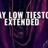 Lay Low Tiesto EXTENDED