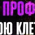 ЭТО ПРОСТО РАЗВАЛ Убийственный стиль от корейского зерга и нидус в соседнюю клетку в StarCraft II