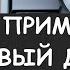 Деготь с мёдом и молоком Мой проверенный способ растворения дёгтя