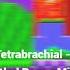 Tetrabrachial Rattled Bones Mix Inst SCRAPPED