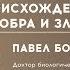 Павел Бородин о происхождении добра и зла Неделя Дарвина в НГУ 2019