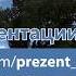 Одинокий тополь 12 июня 2017г