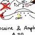 Pharmacology ADRENERGIC RECEPTORS AGONISTS MADE EASY