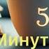 5 МИНУТ ТОРЫ ВЫПУСК 249 АУДИО