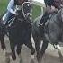 Work Of The Day At Saratoga Forte And Tapit Trice Worked 4 Furlongs In 48 33 On August 10th 2023