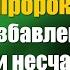 Зикр Пророка ﷺ для избавления от бед и несчастий Шейх Абу Яхья