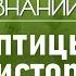 Какую роль играли птицы в жизни людей разных эпох Лекция орнитолога Павла Квартальнова