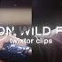 NAMJOON Wild Flower Official Mv Twixtor Clips With AE Sharpen HD 4k