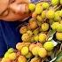 Awesome Cutting Fruit On The Tree Amazing Fruits Cutting Skills